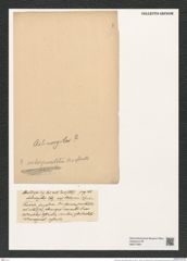 Actinocyclus interpunctatus Ralfs. (de-Toni-Nr.: Genus 195, Species 4801/72) Zeichnungen Sammlung Grunow (NHMW-BOT-W0377904)